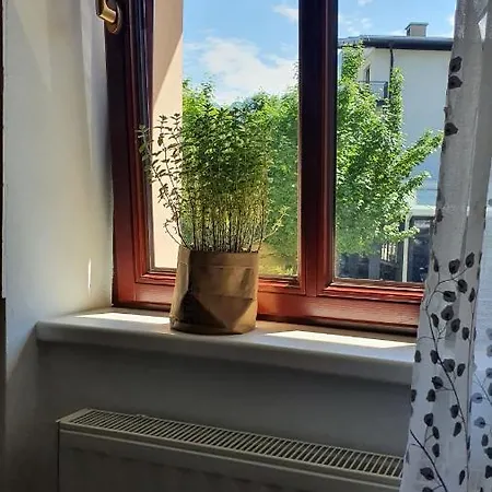 Appartement Apartma Center *