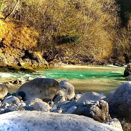 Apartma Center Appartement