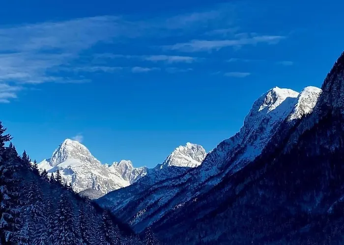 Apartma Center 아파트 *