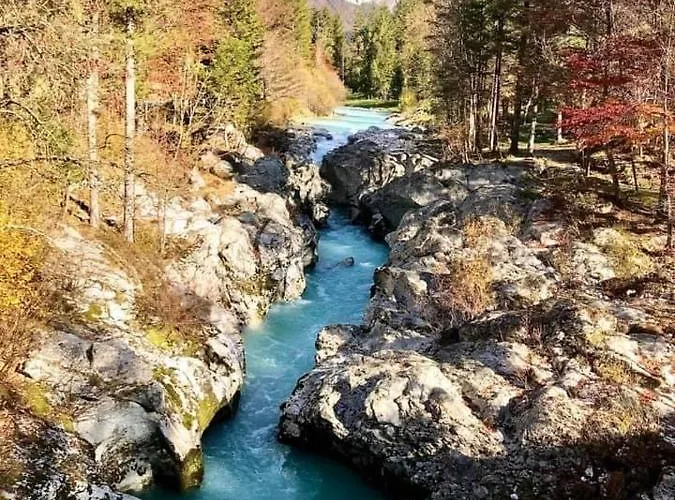 Apartma Center דירה בובק