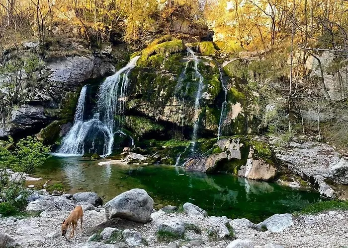 דירה Apartma Center *